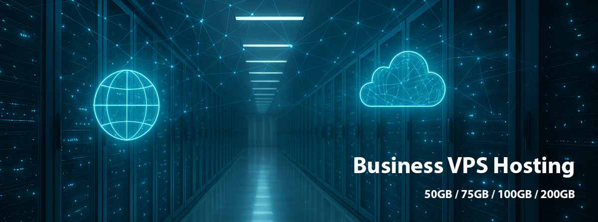 Business VPS Hosting