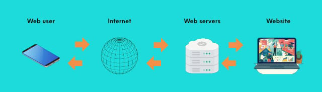 Business VIP Hosting