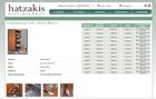 Σχεδίαση εταιρικής ιστοσελίδας hatzakis.com.gr - no.312